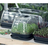 Propagator with Lid – Seedling Starter Kit