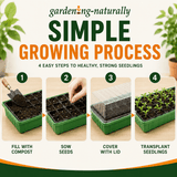 Step-by-step guide to growing seedlings with 'growing-naturally' branding.