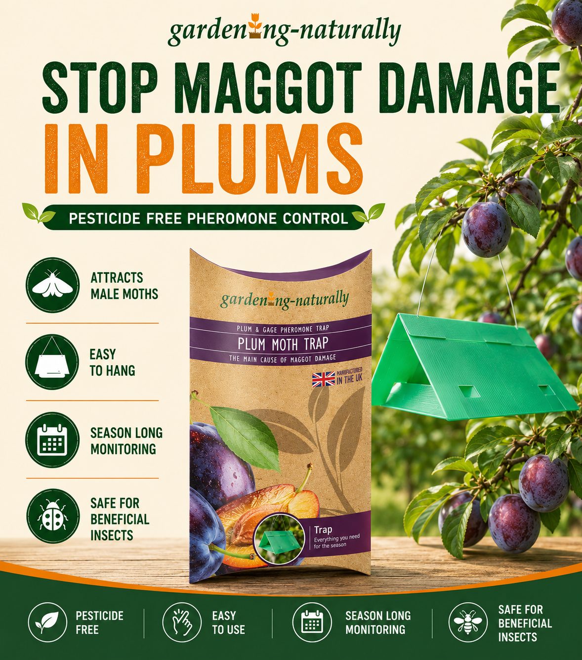 Gardening Naturally plum moth trap with plum tree and maggot damage text