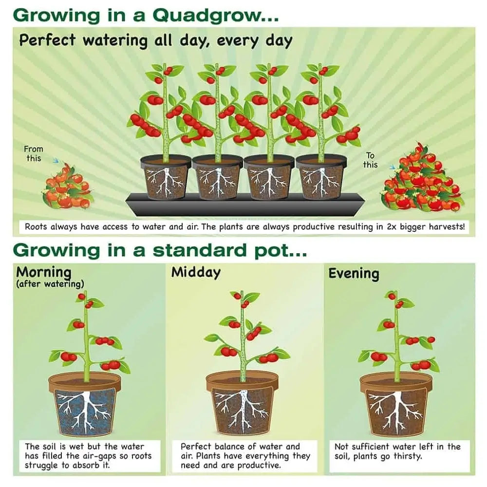 quadgrow infographics