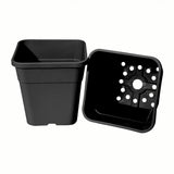 QuadGrow and Cloche Set