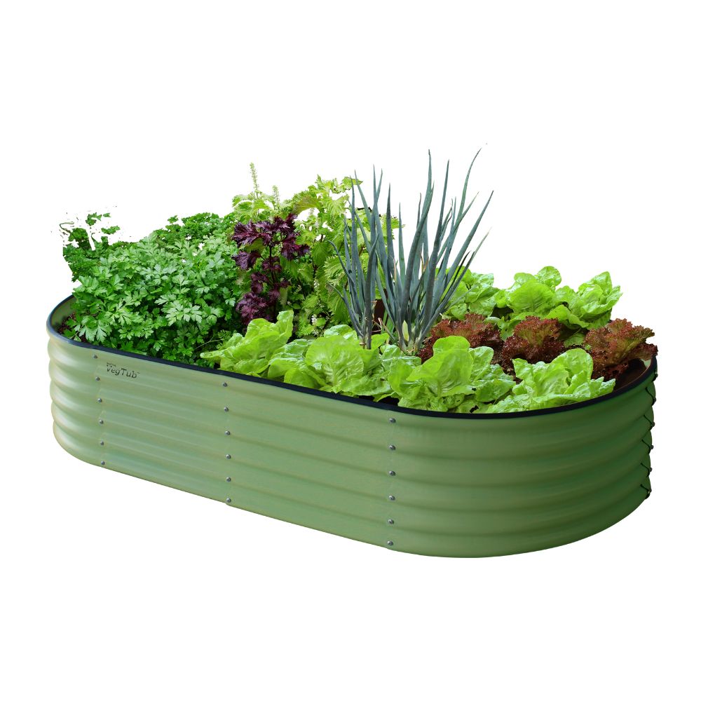 sage green raised bed with plants in