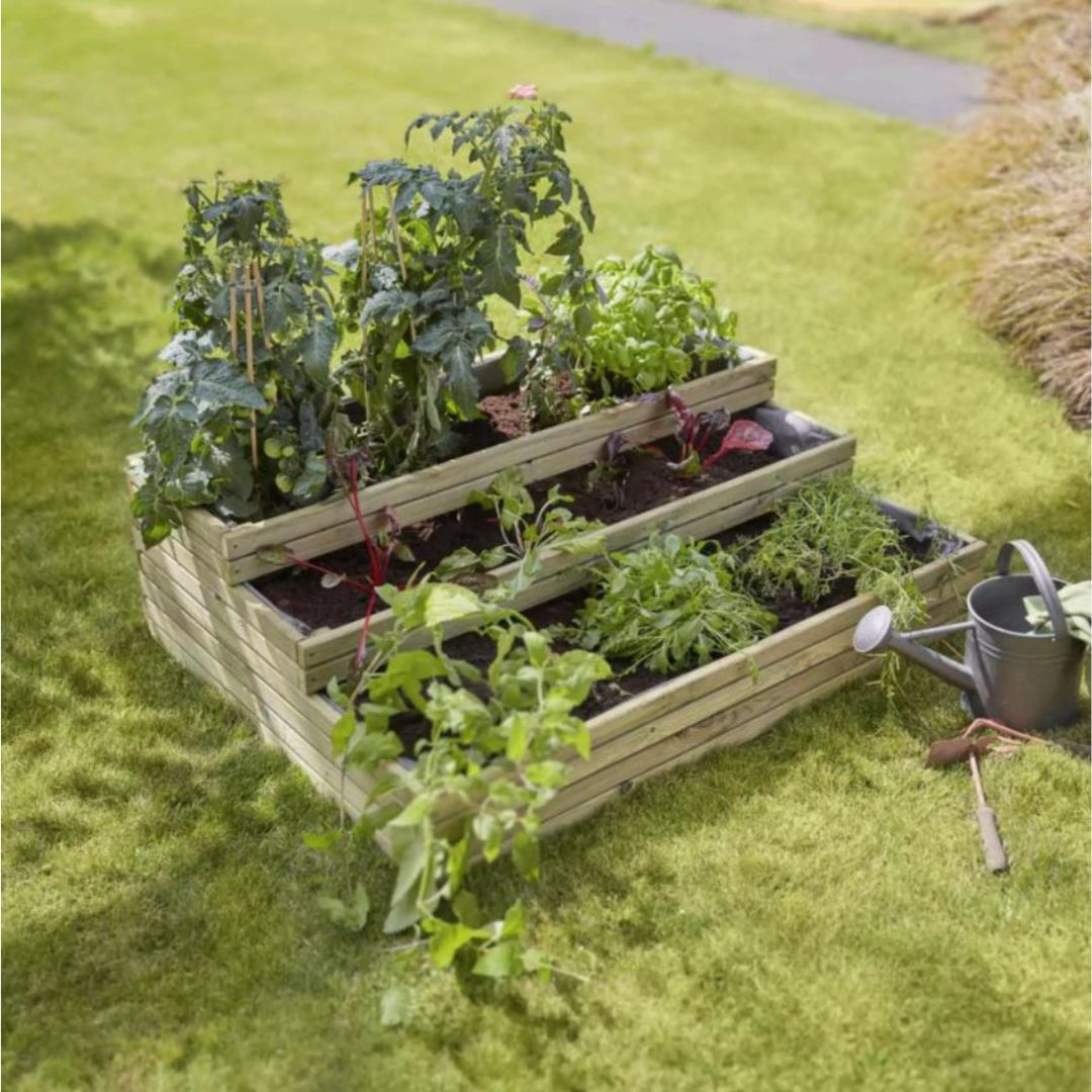 Wooden raised garden bed with plants on a grassy area