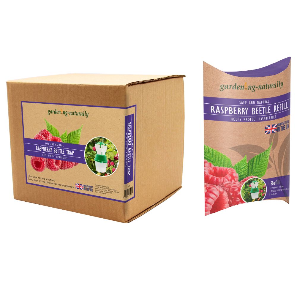 Raspberry Beetle Traps and Refills – Gardening Naturally