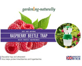 Raspberry Beetle Trap and Refills with Attractant