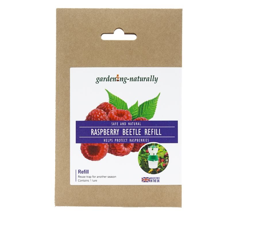 Raspberry Beetle Trap and Refills with Attractant