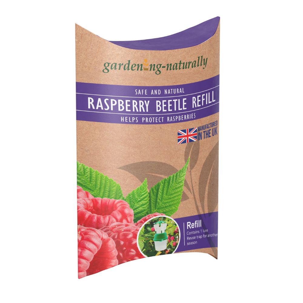 Raspberry Beetle Traps and Refills – Gardening Naturally