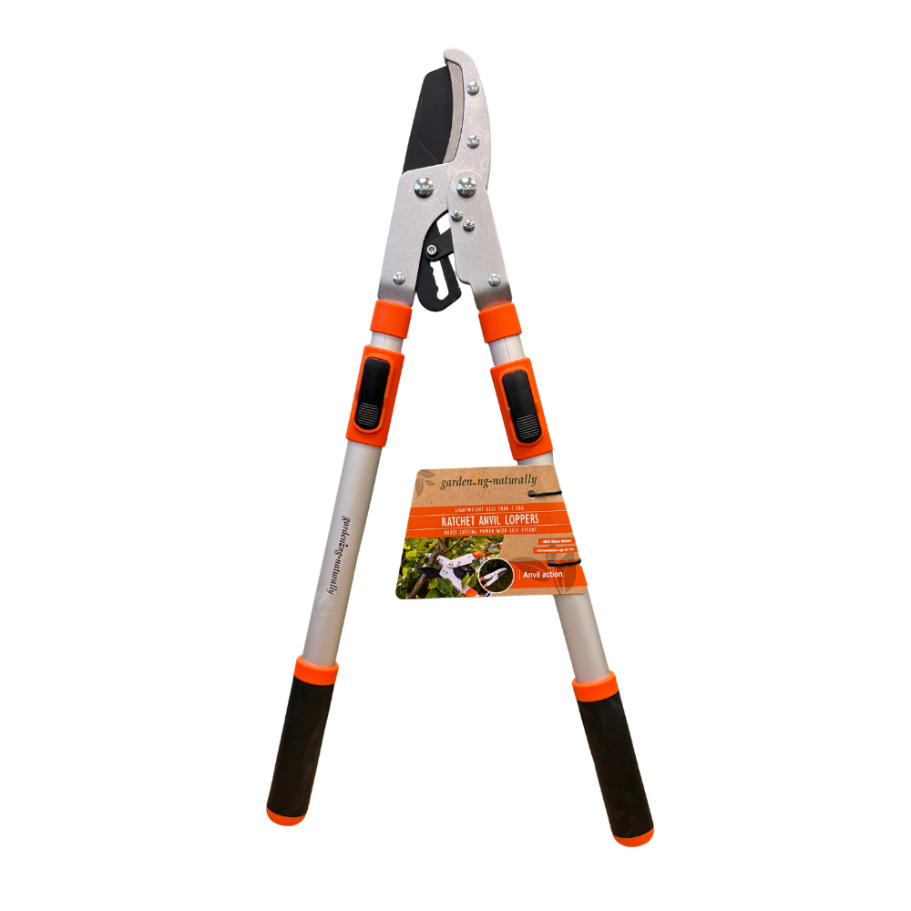 Loppers on a plain background