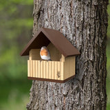 Robin Nest Box Ultimate - Bamboo