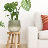 sage plant pot on stool by sofa