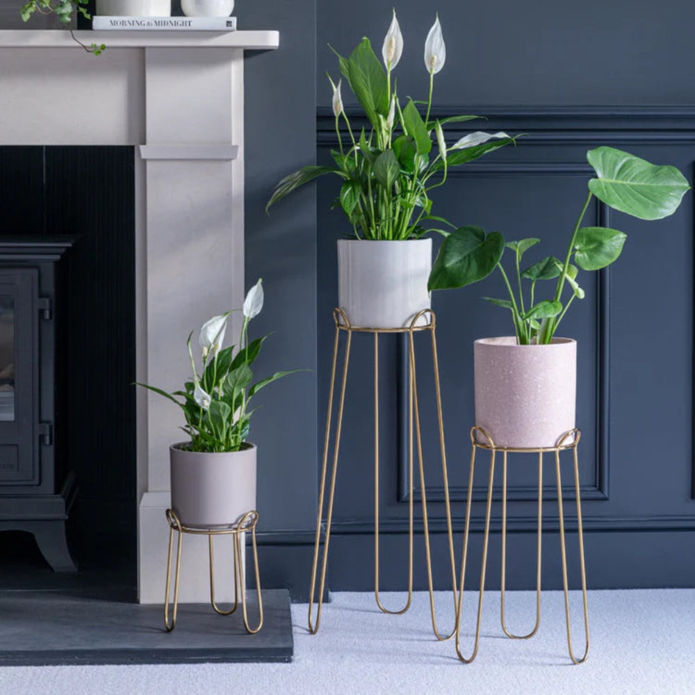gold indoor plant stand Gold Plant Pot Stand Underfloor Heating – Gardening Naturally