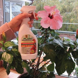 SB Plant Invigorator Natural Insect Repeller