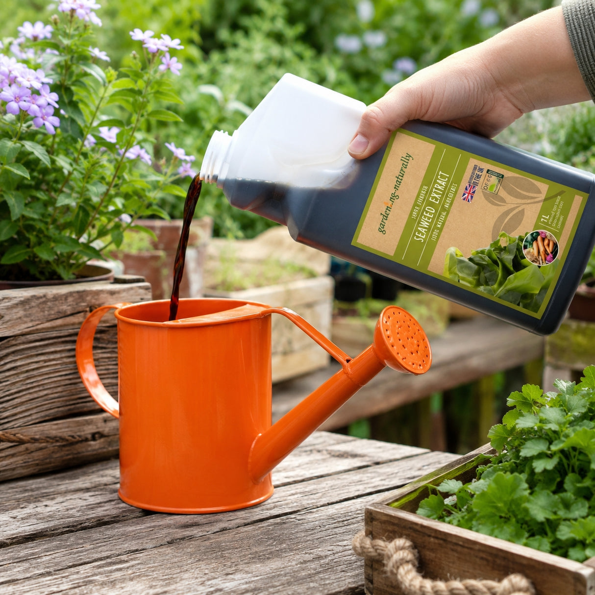 Hand pouring liquid from a bottle labeled 'Nettle Extract' into an orange watering can with plants in the background.