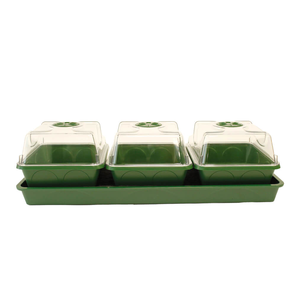 Green Plastic 3 bay propagators on white background