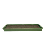 Green garden tray with capillary matting