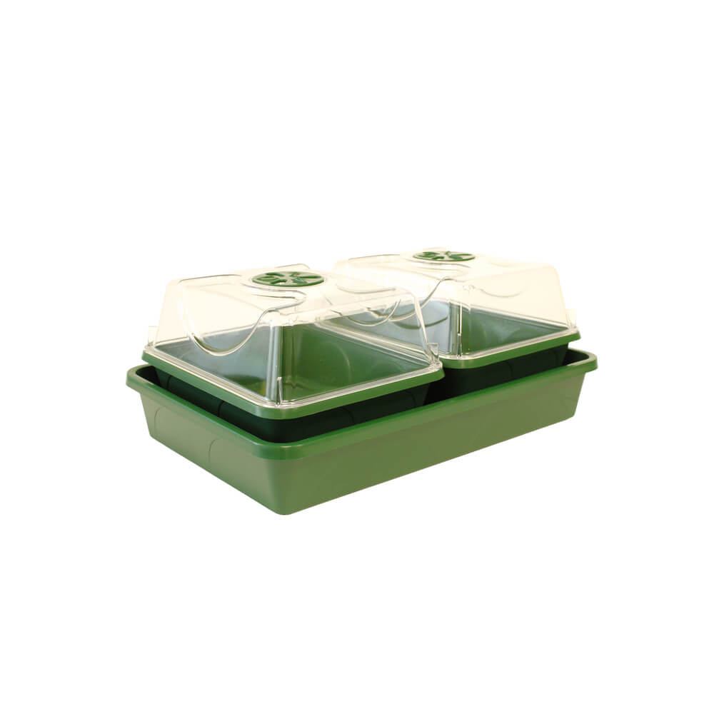 Green plastic propagator tray with two compartments with transparent lid on a white background
