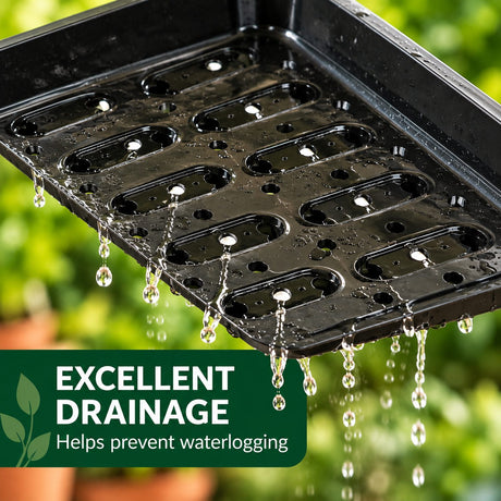 Black seed tray with drainage holes to help prevent waterlogging