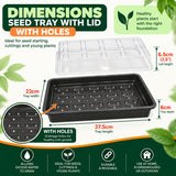 seed tray with drainage holes and clear lid measuring 37.5cm x 23cm x 6cm