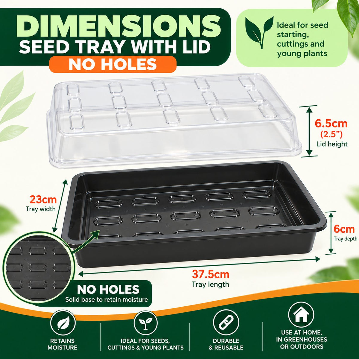 Seed tray with no drainage holes and clear lid measuring 37.5cm x 23cm x 6cm