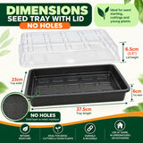 Seed tray with no drainage holes and clear lid measuring 37.5cm x 23cm x 6cm