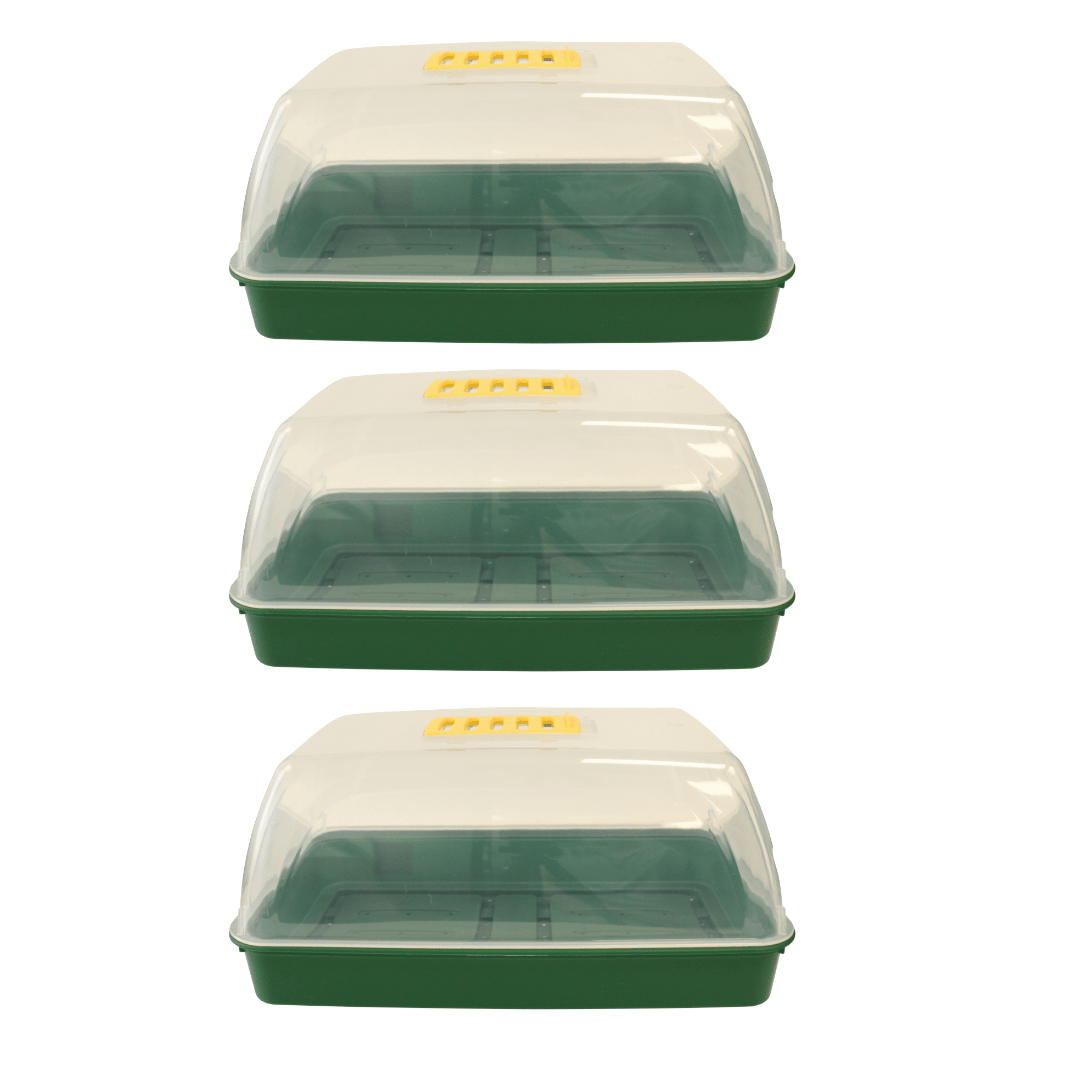 Three green plastic trays with transparent lids on a white background