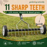 image of 11 teeth scarifier 