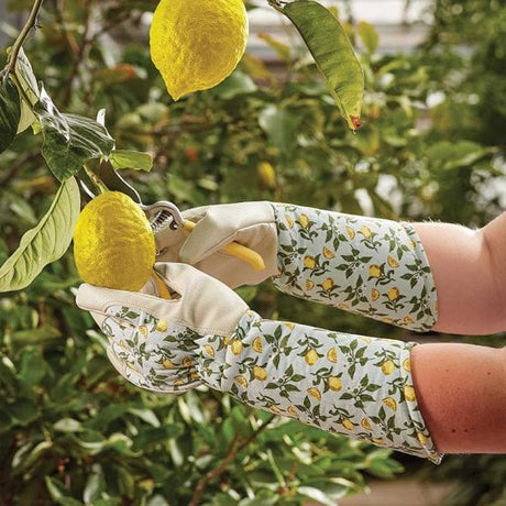 A person wearing Sicilian lemon gauntlet style gardening gloves with a floral pattern, pruning a lemon tree.