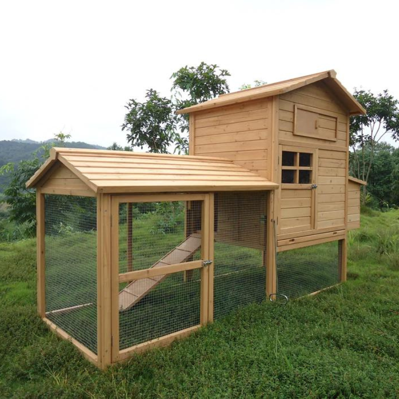 Poultry House and Run Treetops