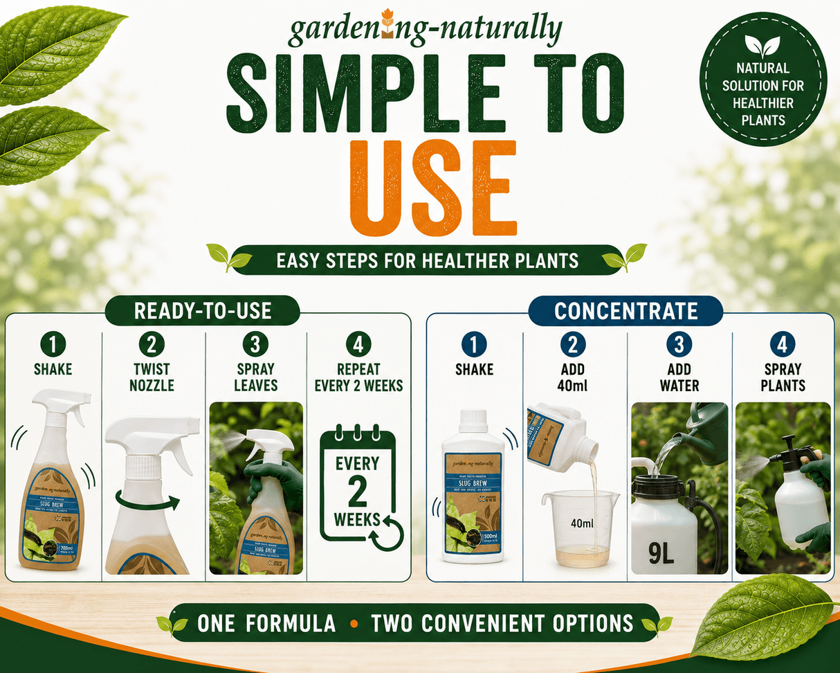 An infographic titled 'SIMPLE TO USE' from gardening-naturally, showing step-by-step instructions for two ways to use a plant fertilizer: Ready-To-Use and Concentrate. The graphic features product bottles, a 9L jug, and water bottles with illustrative photos of healthy plants.