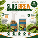Promotional graphic for Gardenng-Naturally Slug Brew plant health enhancer, showing two bottles of the product on a white background with green leaves, a slug, and feature icons. The bottles have brown and blue labels with the product name 'SLUG BREW' prominently displayed.