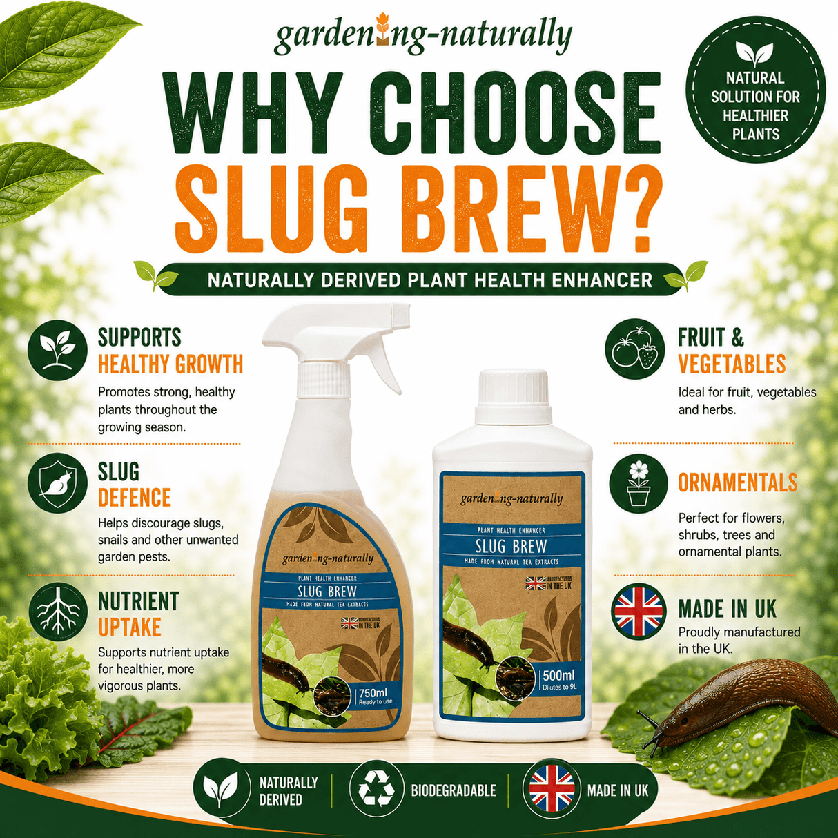 Promotional infographic for Garden Naturally Slug Brew plant health enhancer, showing two bottles of the product on a light background with leaf graphics and text highlighting benefits such as healthy growth, slug defence, nutrient uptake, and fruit and vegetables.