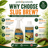 Promotional infographic for Garden Naturally Slug Brew plant health enhancer, showing two bottles of the product on a light background with leaf graphics and text highlighting benefits such as healthy growth, slug defence, nutrient uptake, and fruit and vegetables.