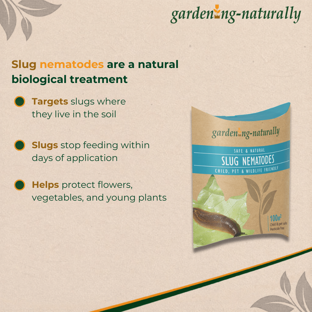 Informational packet on slug nematodes, listing three highlights