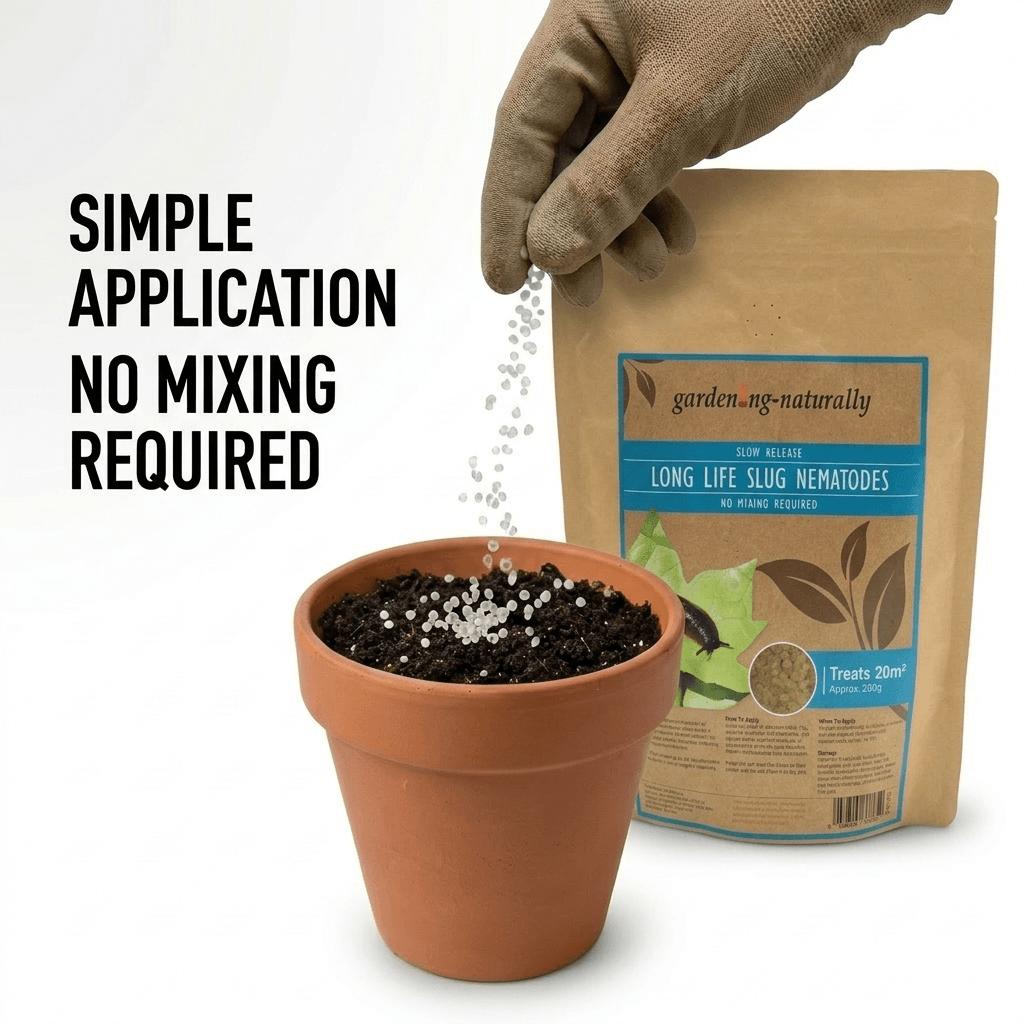 Hand applying garden nematodes to a potted plant with a package labeled 'garden.naturally' on a white background.