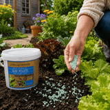 Person holding garden slug pellets next to a container of garden slug pellets in a garden setting.
