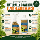 A promotional graphic for gardening-naturally plant health enhancers, showing two bottles side by side on a wooden surface with a soft garden background. The left bottle is a white spray trigger with a gold-and-black label reading Slug Brew 750ml, and the right bottle is a white bottle with a gold-and-black label reading Slug Brew Concentrate 500ml.