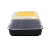 Single black propagator with clear lid and vent on top on white background