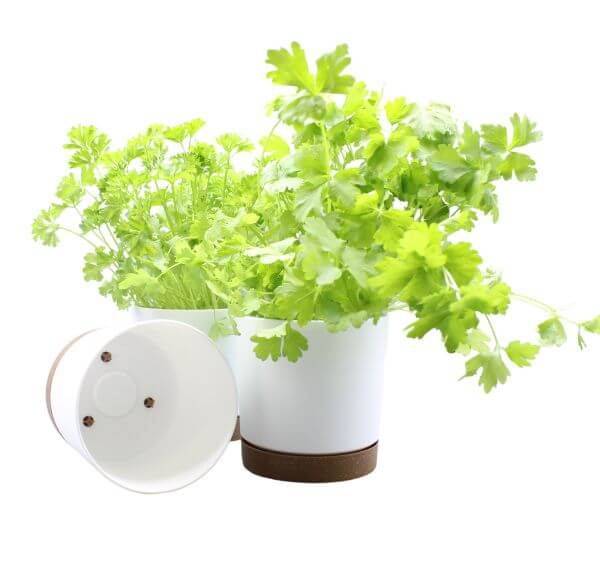 White Plant Pots Indoor or Outdoor Chloe