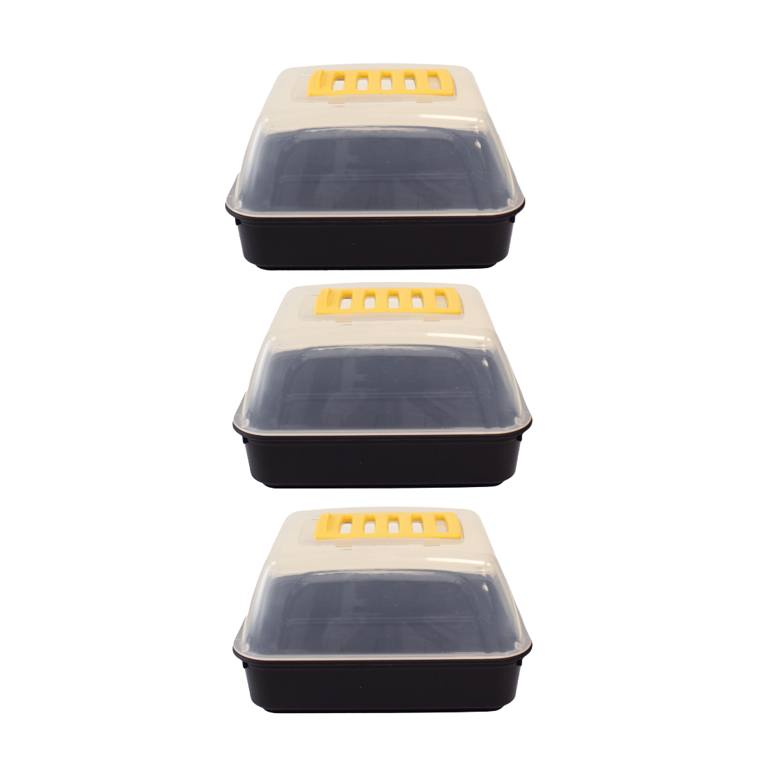 Pack of 3 black propagator with clear lid and vent on top on white background