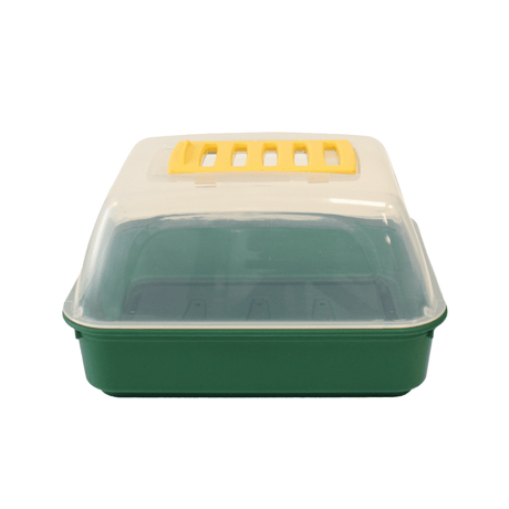 Single green propagator with clear lid and vent on top on white background