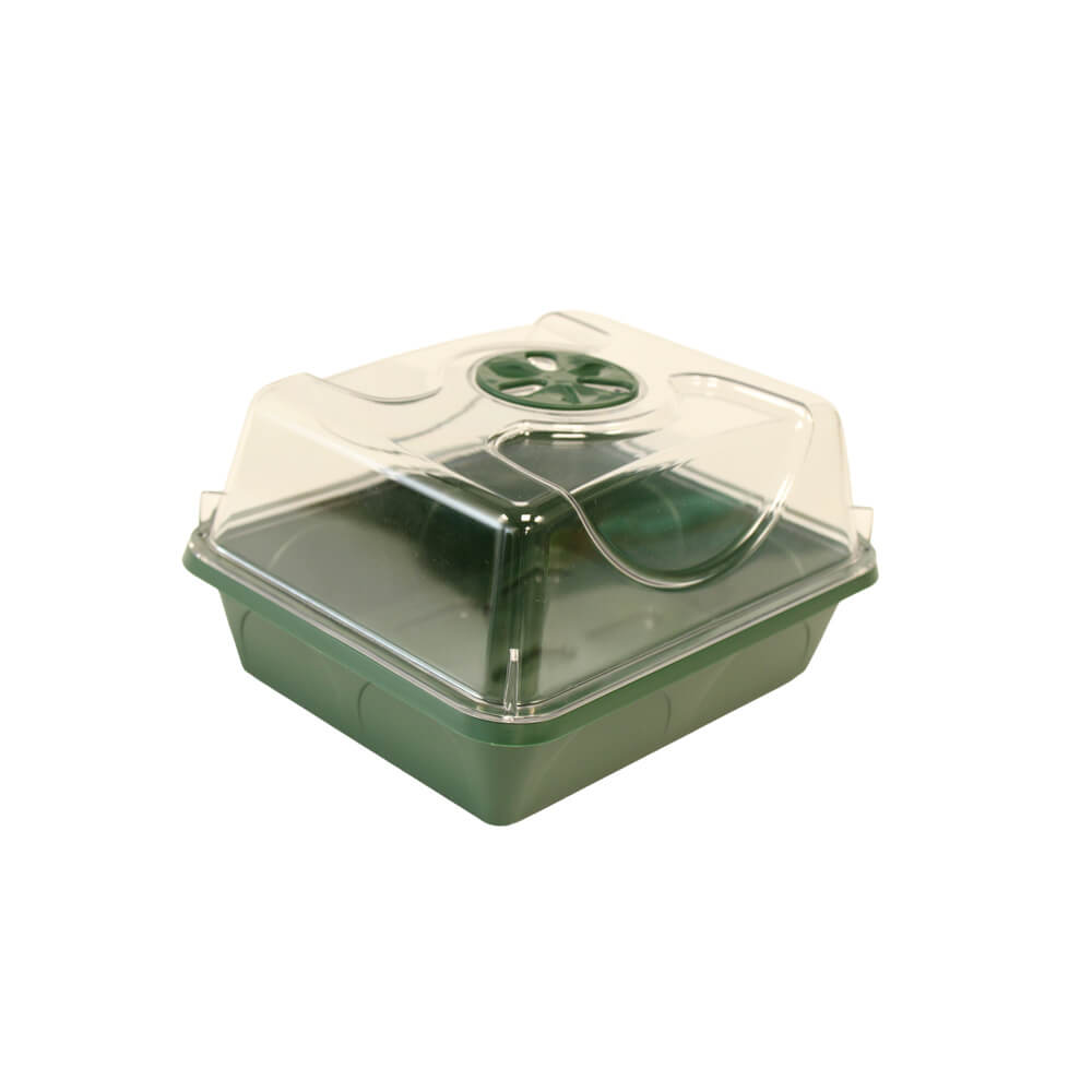 Small Seed Spa Green propagator with see through lid on white background.