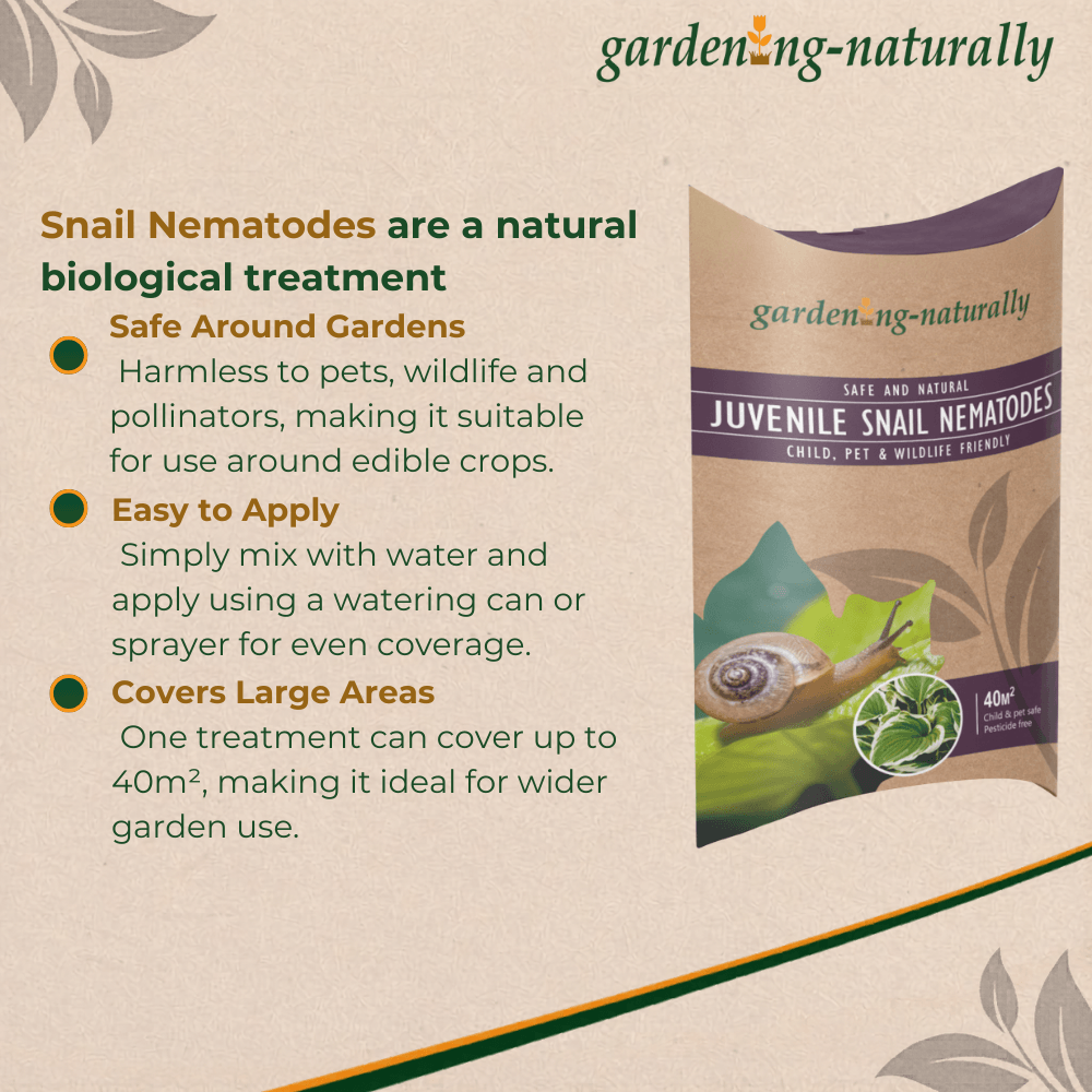 Product packaging for 'Juvenile Snail Nematodes' with text about its benefits on a beige background.