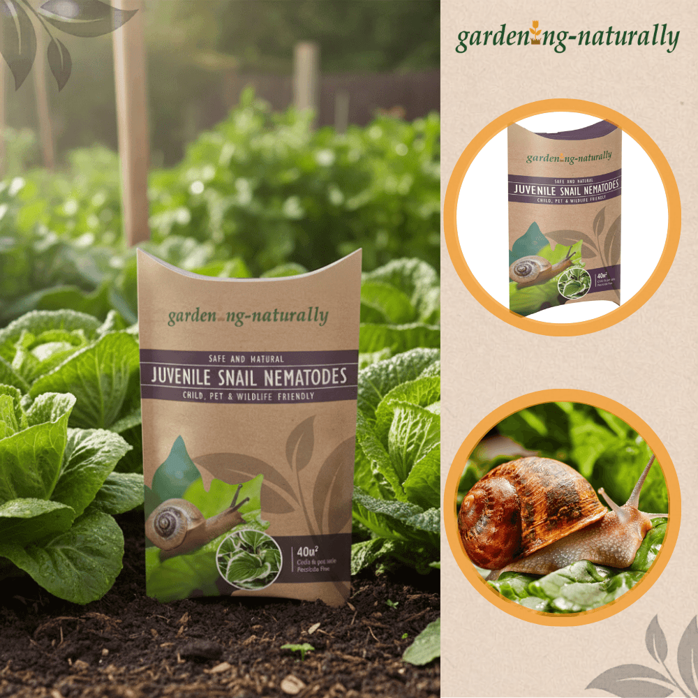 Package of 'garden-naturally' juvenile snail nematodes with snail illustration on a garden background