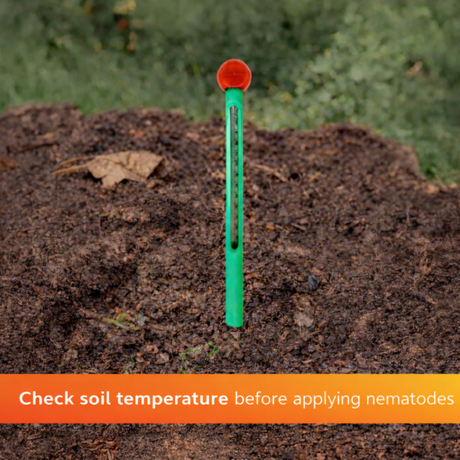 Green soil thermometer inserted into soil with text about checking soil temperature.
