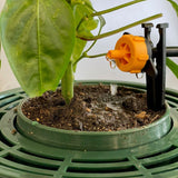 automatic solar watering dripper kit