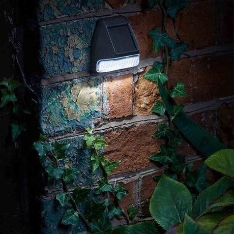 A solar-powered LED wall light installed on a brick wall surrounded by plants, providing a source of light at night.