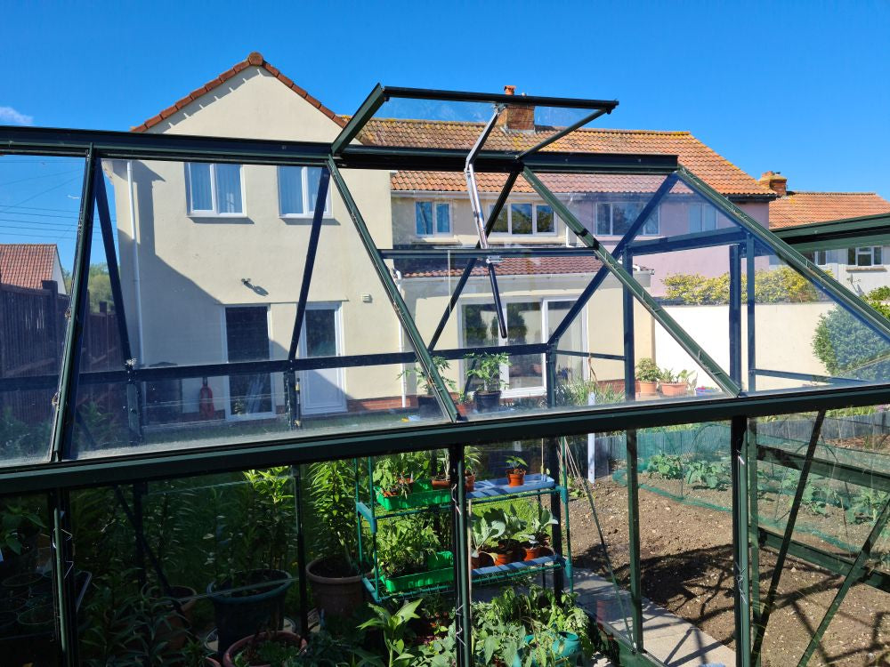 Glass greenhouse with garden view, house in the background