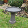 sorrento grey bird bath