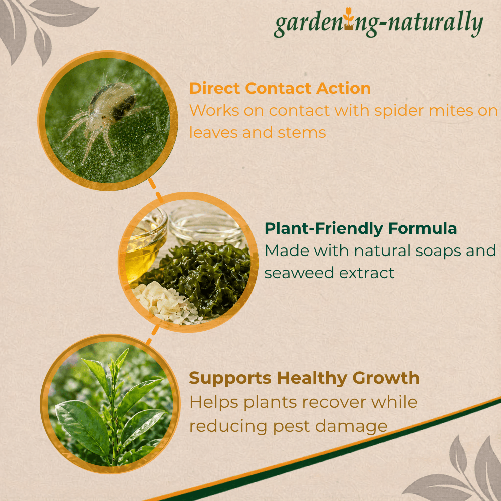 Gardening Naturally product description with images of spider mites, plant material, and healthy plants on a beige background.