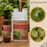Gardening Naturally spider mite spray and concentrate with images of a spider and affected plants on a natural background.